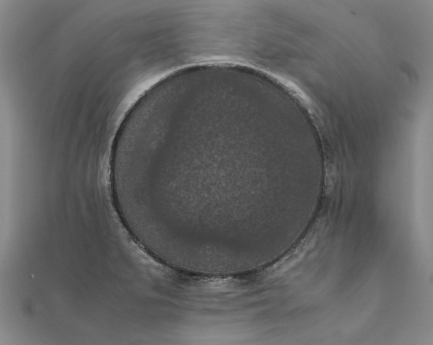 X0000111861279200908061328