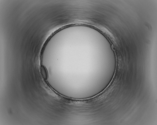 X0000111861280200908061328