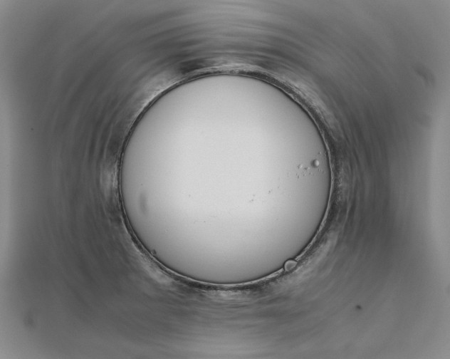 X0000111861281200908061328