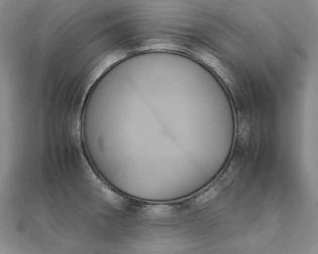 X0000111861282200908061328