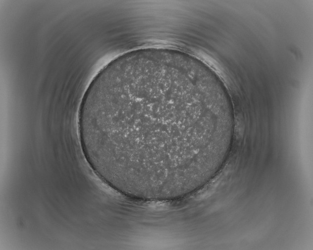 X0000111861283200908061328