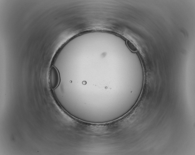 X0000111861285200908061328