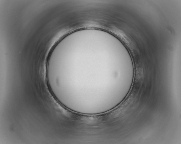 X0000111861286200908061328