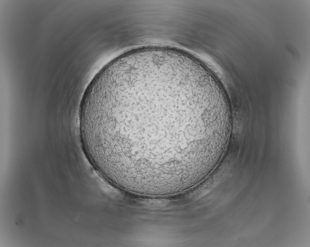 X0000111861287200908061328