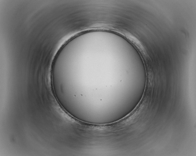 X0000111861288200908061328