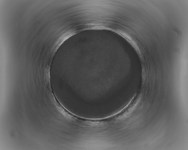 X0000111861289200908061328