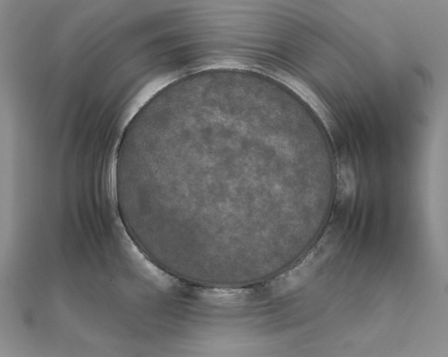 X0000111861290200908061328