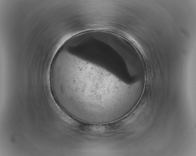 X0000111861291200908061328