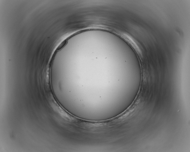 X0000111861292200908061328