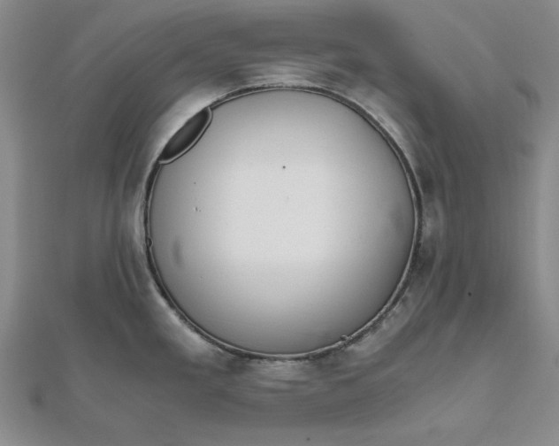 X0000111861293200908061328