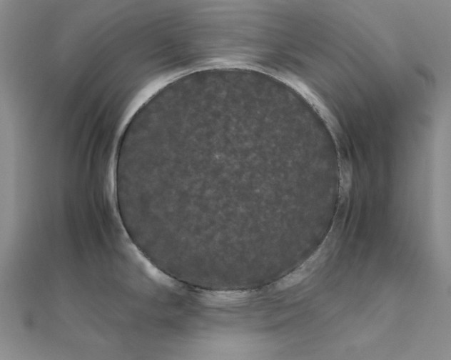 X0000111861294200908061328