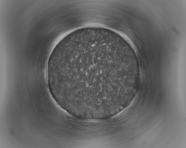 X0000111861295200908061328