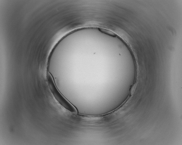 X0000111861296200908061328