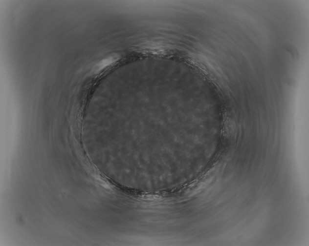 X0000111861297200908061327