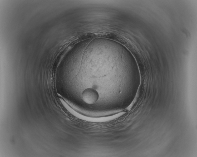 X0000111861298200908061327