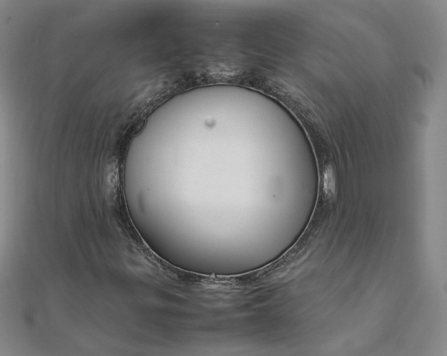 X0000111861299200908061327