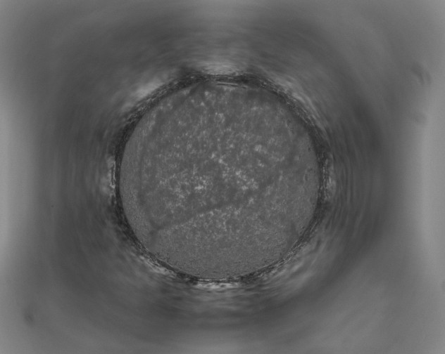 X0000111861301200908061327