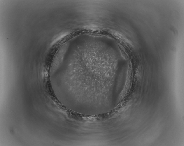 X0000111861302200908061327