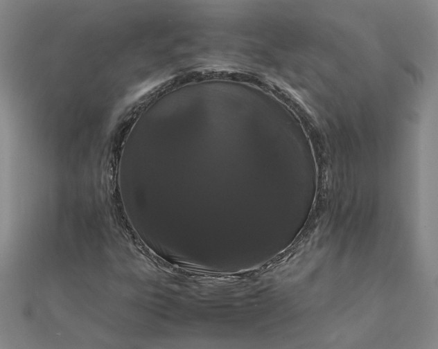 X0000111861303200908061327