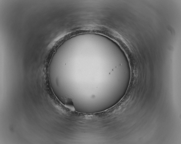 X0000111861304200908061327