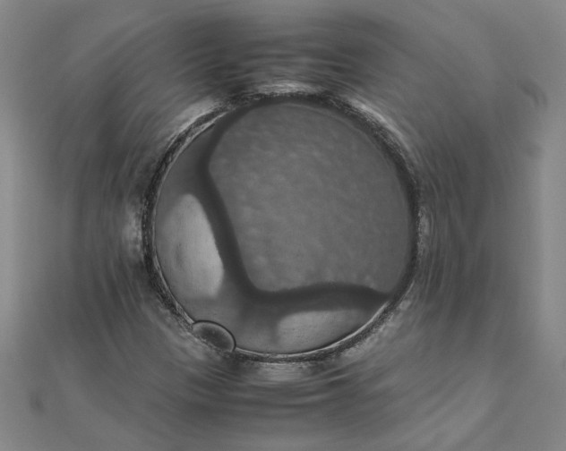 X0000111861305200908061327