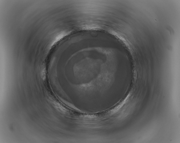 X0000111861306200908061327