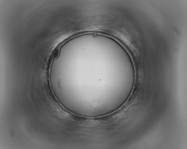 X0000111861308200908061327