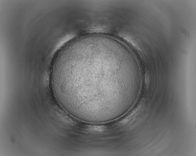 X0000111861309200908061327