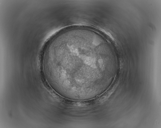 X0000111861311200908061327