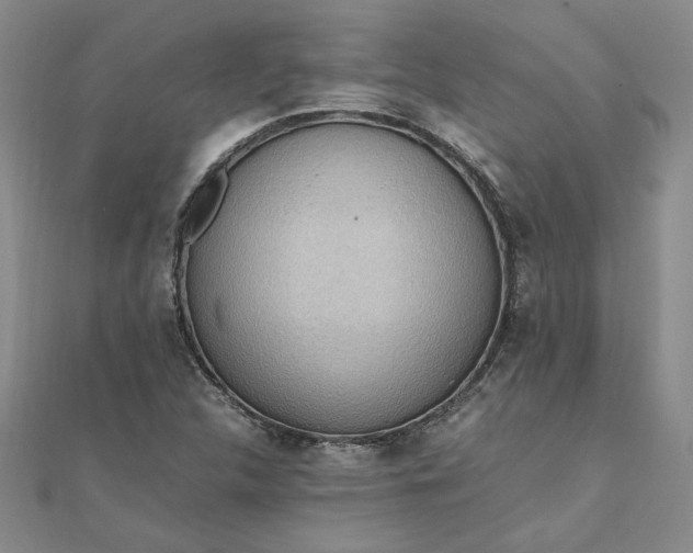 X0000111861312200908061327