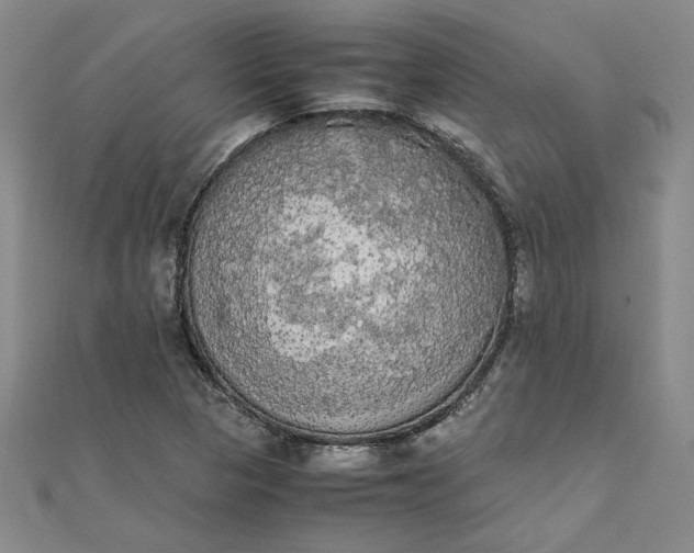 X0000111861313200908061327