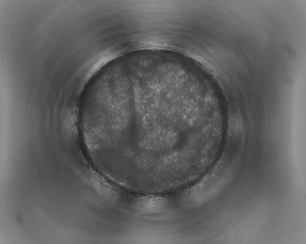 X0000111861314200908061327