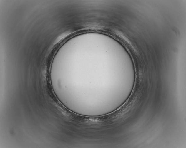 X0000111861315200908061327