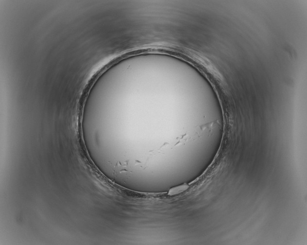 X0000111861316200908061327