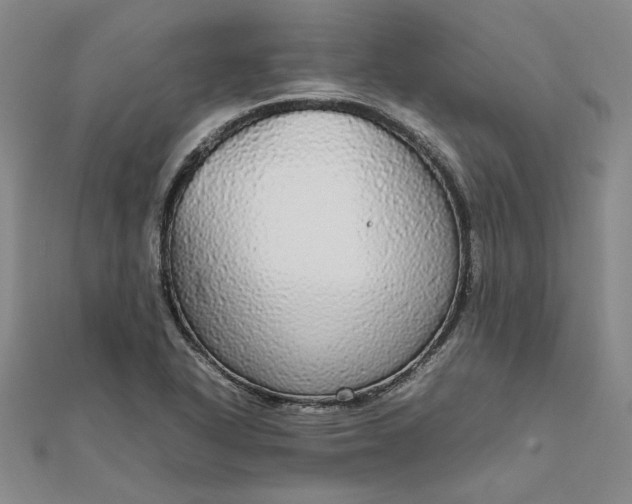 X0000111861318200908061327