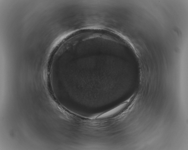 X0000111861319200908061327