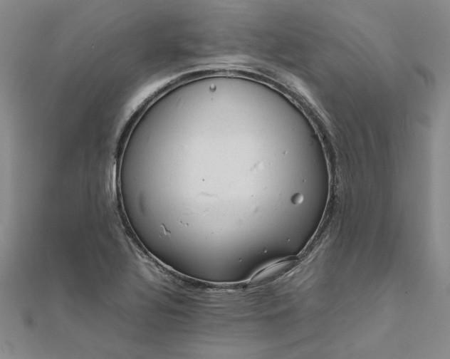 X0000111861320200908061327