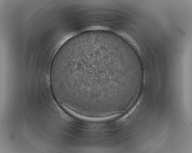 X0000111861321200908061327