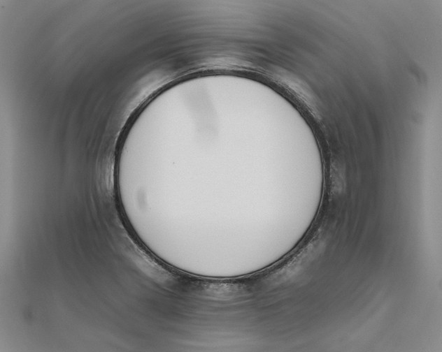 X0000111861322200908061327