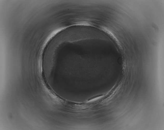 X0000111861323200908061327