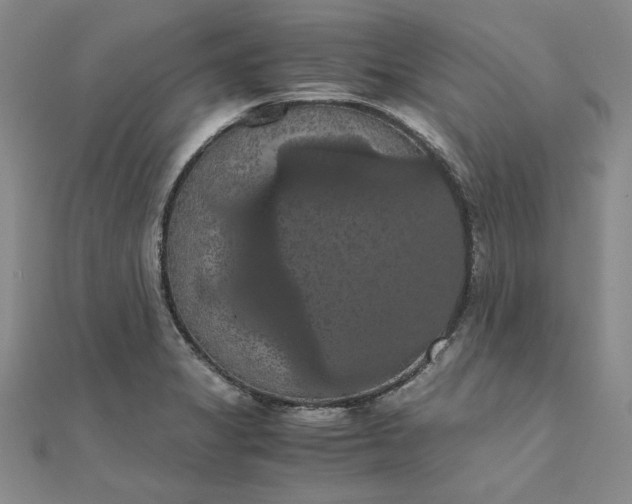 X0000111861325200908061327