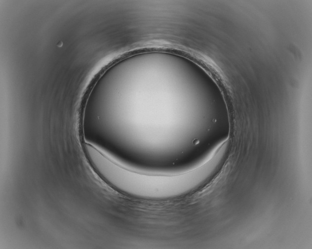 X0000111861326200908061327