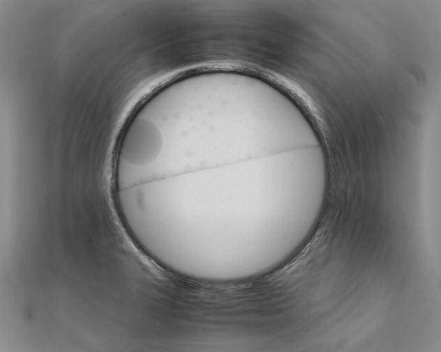 X0000111861327200908061327