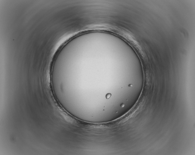 X0000111861328200908061327