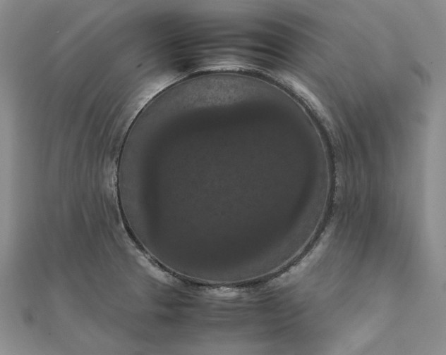 X0000111861329200908061327