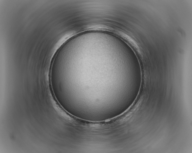 X0000111861330200908061327