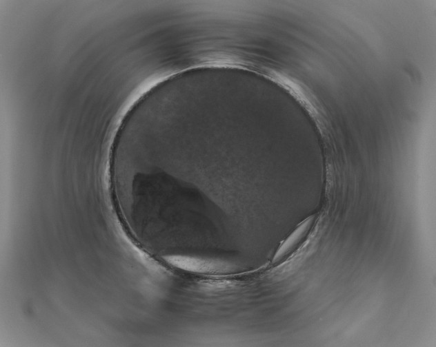 X0000111861331200908061327