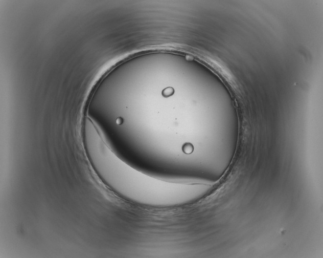 X0000111861332200908061327