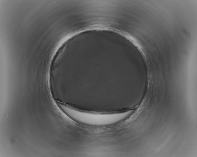 X0000111861334200908061327