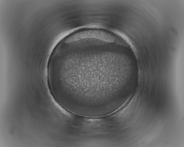 X0000111861335200908061327